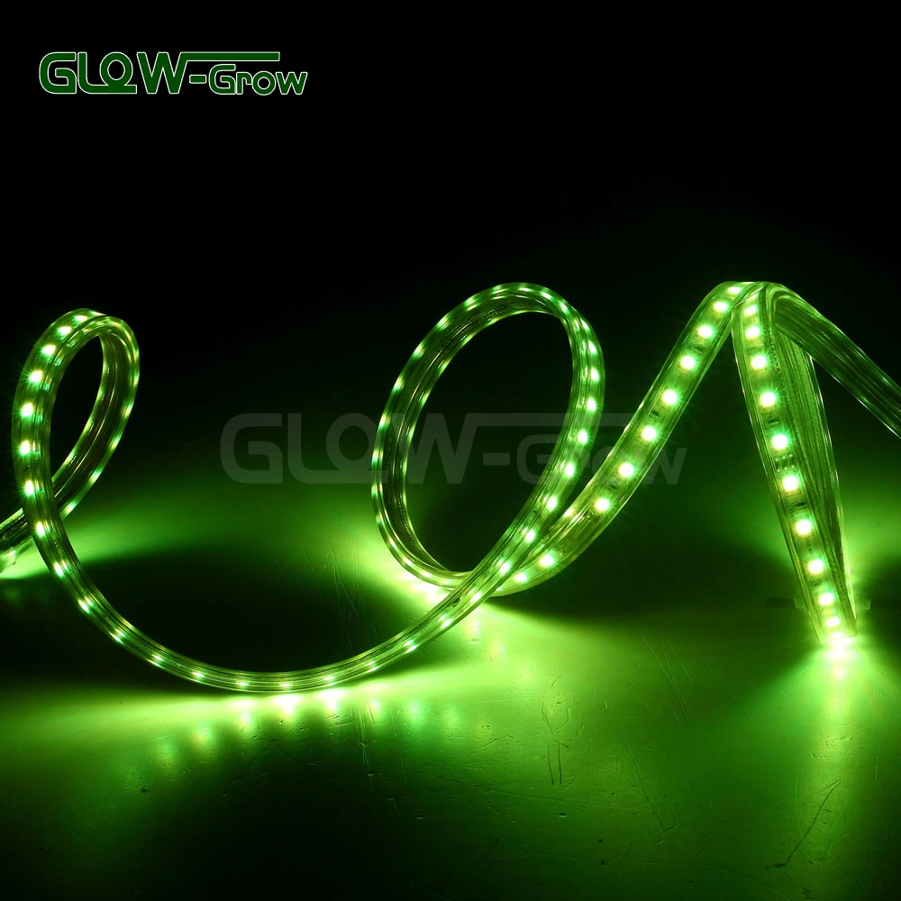 SMD 5050 RGB LED Chip Strip Light for Restaurant Decoration