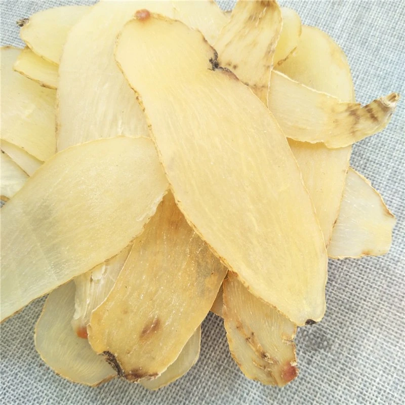 Tian Ma por grosso China Gastrodia Rhizoma Gastrodiae secas derivadas de raiz para o reumatismo