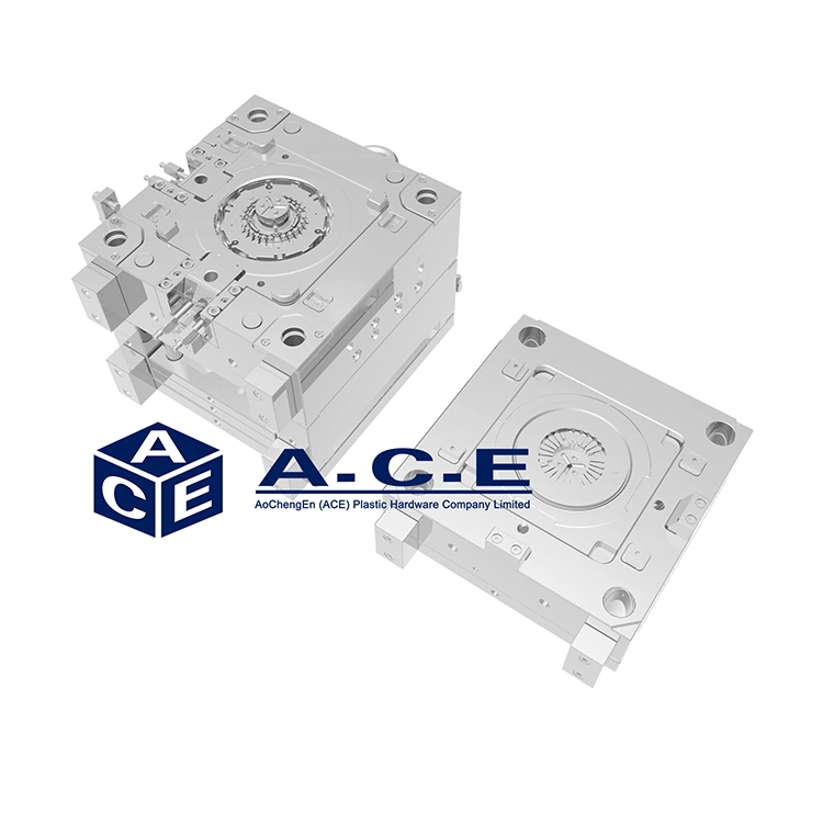 High Precision Home Appliance Shell Molding Custom Two-Color /Insert Injection Plastic Mould