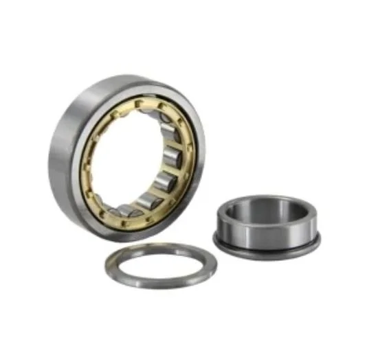 Roller Bearing Single Row Cylindrical Roller Bearing for F-1300 Mud Pump