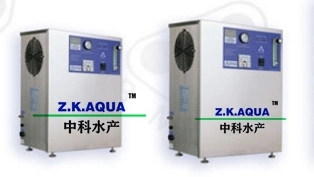 Oxygen Cylinder Oxygen Concentrator for Sale Oxygen Machine Gas Generator Low Price Factory Price