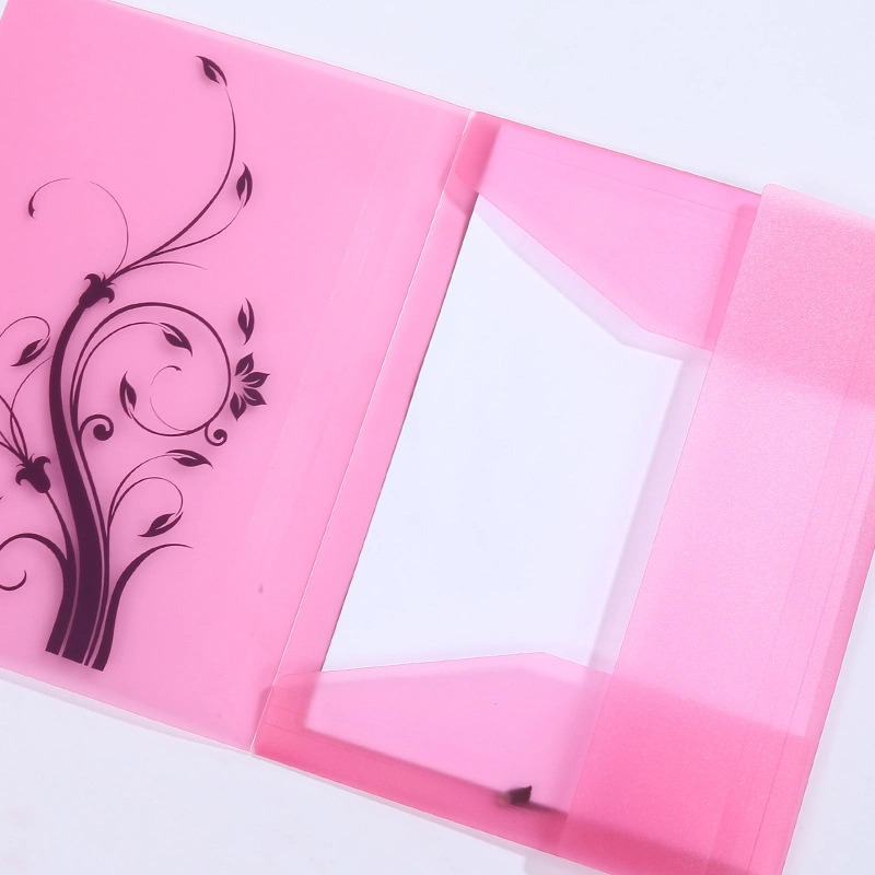 2020 transparent clear file holders A4 frosted PP document file holders