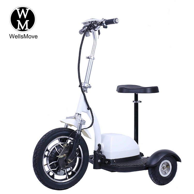 Sit and Stand up Driving Three Wheel 350W 500W Motor Mobility Trike Scooter