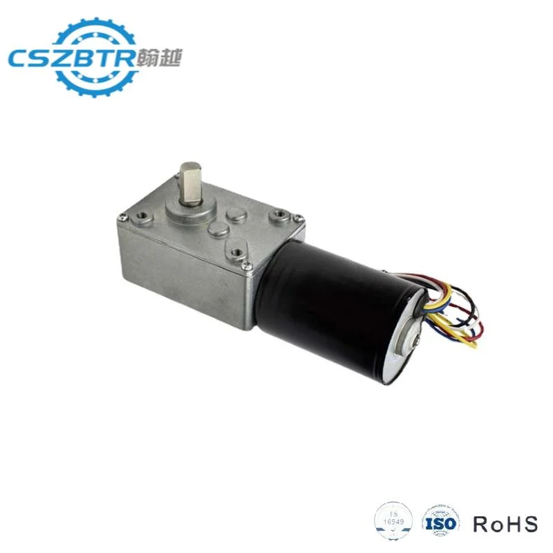 5840-3650 DC Worm Gear Motor Low 24V 300W Geared Motor with Encoder