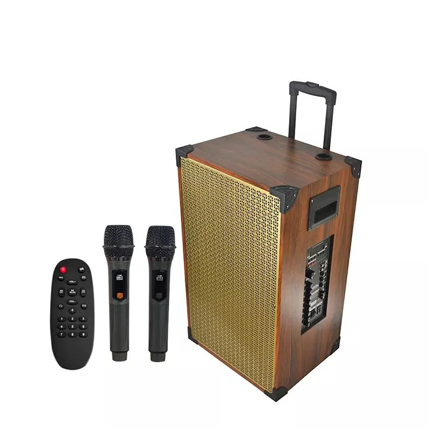 Temeisheng Nouvelle vente à chaud chariot en bois haut-parleur 12 pouces 3 Way Wireless portable Audio Box Haut-parleur rechargeable Bluetooth avec micro