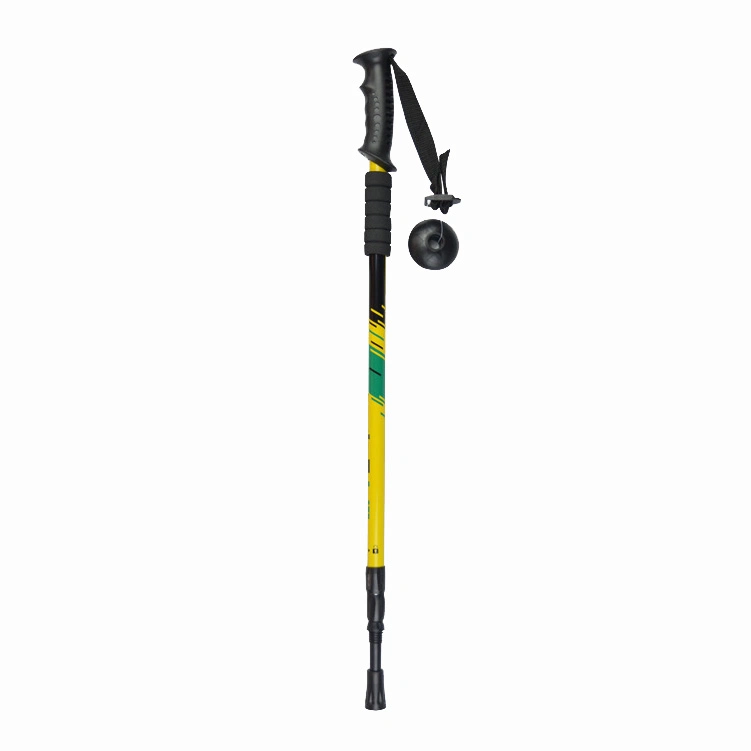 Backpacking Gear 2 PCS Aluminum Walking Sticks Carry on Hiking Pole for Camping