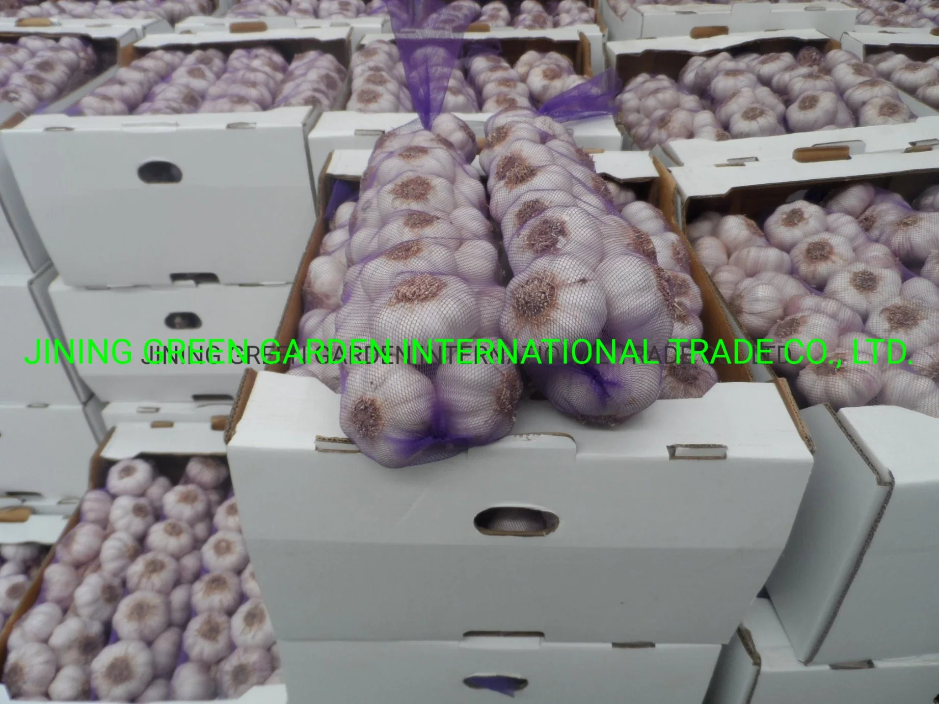 2022 New Crop Fresh Garlic Experience Direct Supply Top Quality Garlic Fresh China Origin Low Price Free Sample 4.5cm,5.0cm,5.5cm,6.0cm,6.5cm, Pure&Normal White