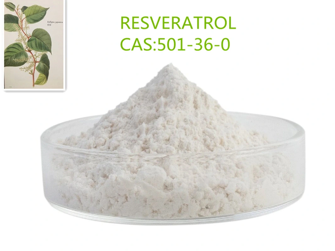 Herbal Extract Skin Care Anti-Aging 501-36-0 Trans-Resveratrol Resveratrol Powder for Good Healthy