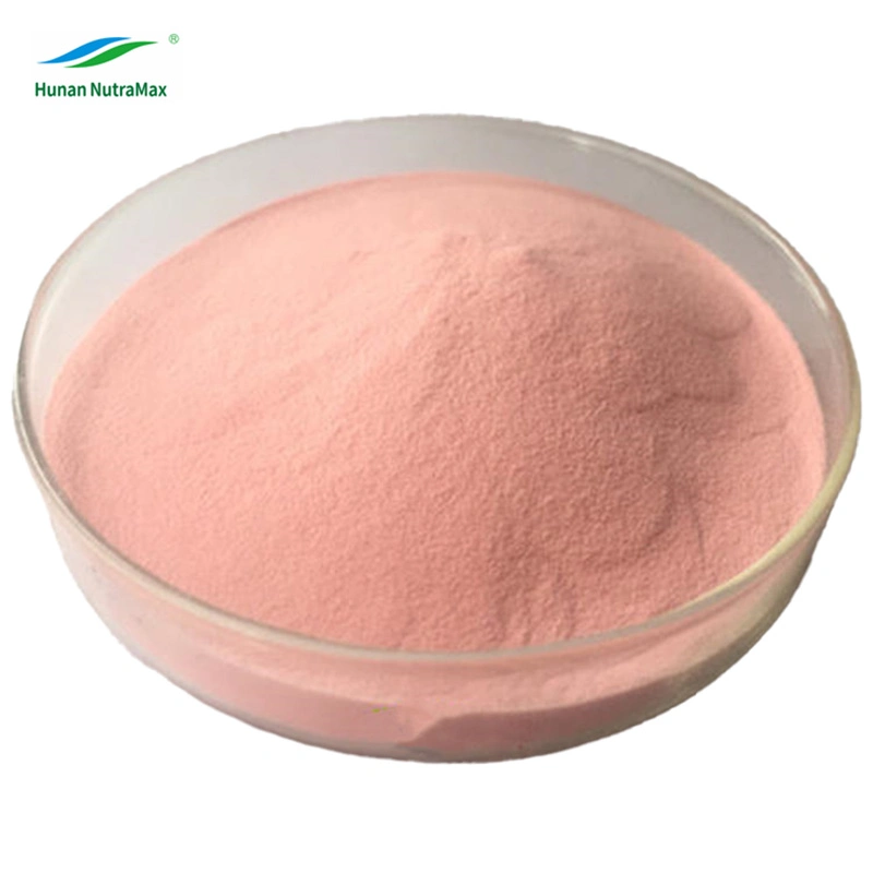 High Quality Watermelon Fruit Powder