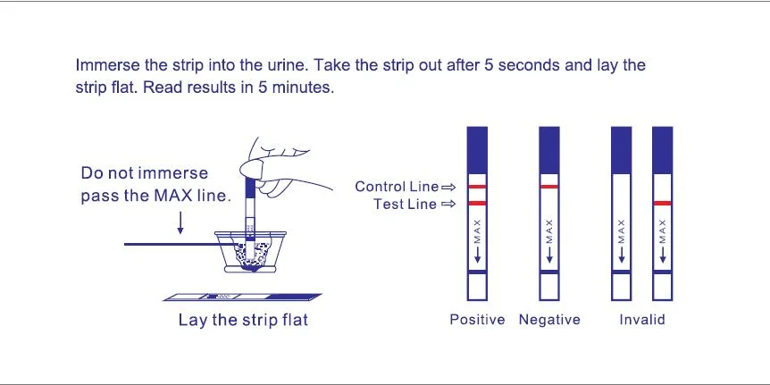 Hormone Testing at-Home Women&prime; S Fertility Test Early Pregnancy Detections