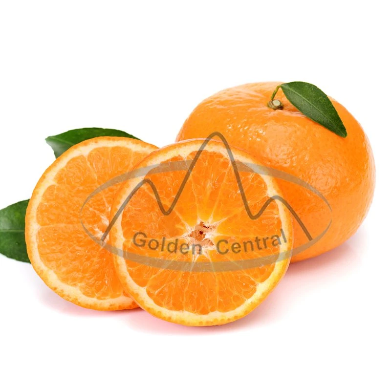 Super Fresh Navel Orange Price Fresh Orange