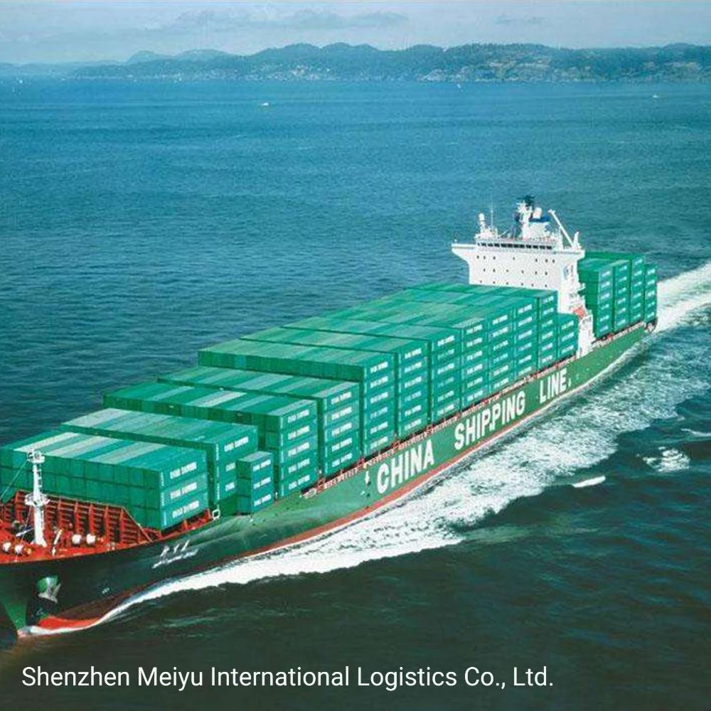 Global FCL/LCL Sea Shipping Cargo Within Lower Loading Port and Destination Port Fee