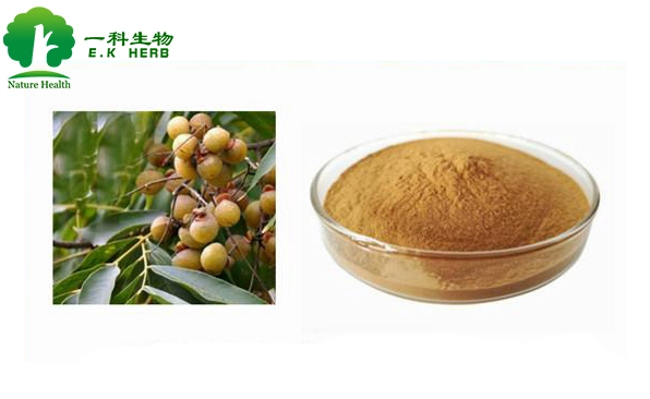 E. K Herb 100% Natural Soap Nut Seed Powder Extract Saponins 70% Soapnut Extract for Washing Detergent