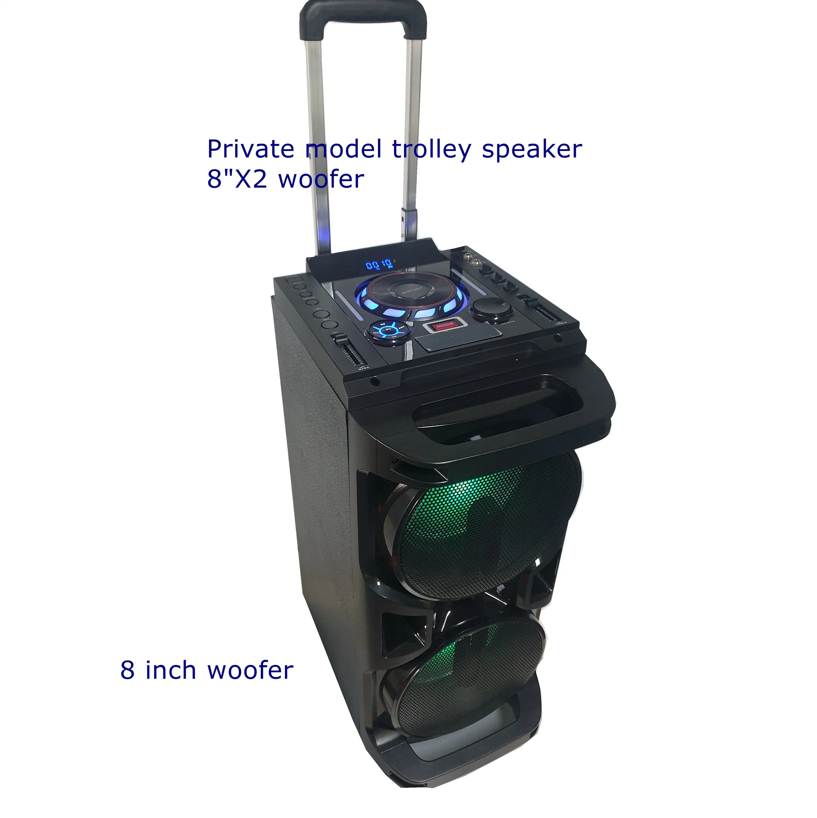 Diamond Factory Trolley Audio Big Power con Flash LED Outdoor Altavoz