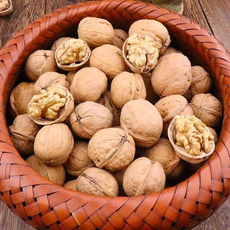 سعر الجملة الرخيصة عالية الجودة walnuts Chandler Inshel walnuts