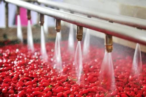 Jugo de Goji en Polvo seco de Spry y lleno de polisacárido