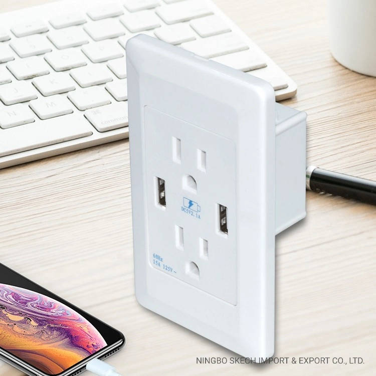 15A Wall Socket Dual USB Type-a Outlets Charger with Dustproof Power Socket