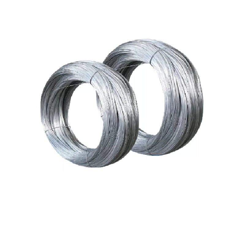 Flexible 304 316 1mm 2mm 3mm Stainless Steel Soft Wire