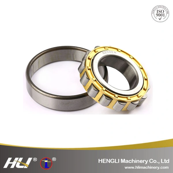 NJ2219EM  95mm *170 mm* 42 mm Cylindrical Roller Bearing for Sports Apparatus