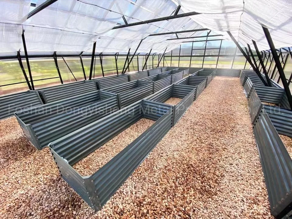 Heavy Durable Multi Span Polycarbonate Greenhouse with Agriculture Equipment Rdga1014-10mm