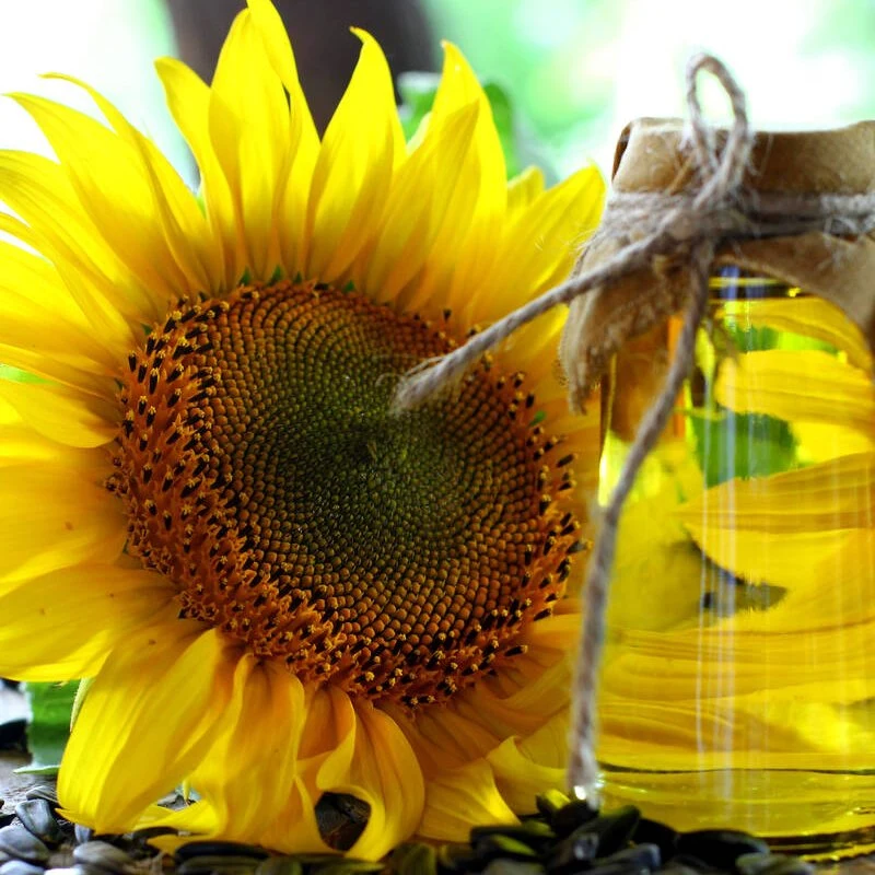 High-Quality Pressed Cooked Bulk Wholesale/Supplier Supermarket Cuisine Sunflower Oil