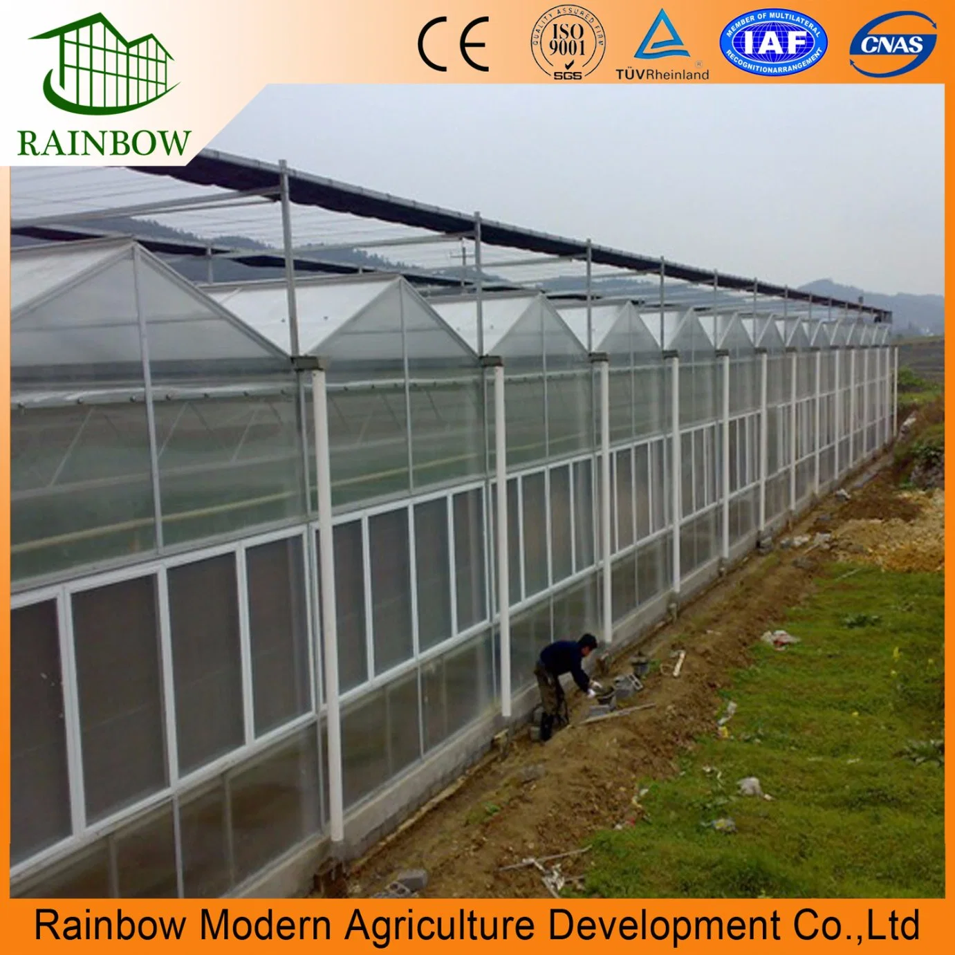 China 2019 New Design Polycarbonate Panels Greenhouses