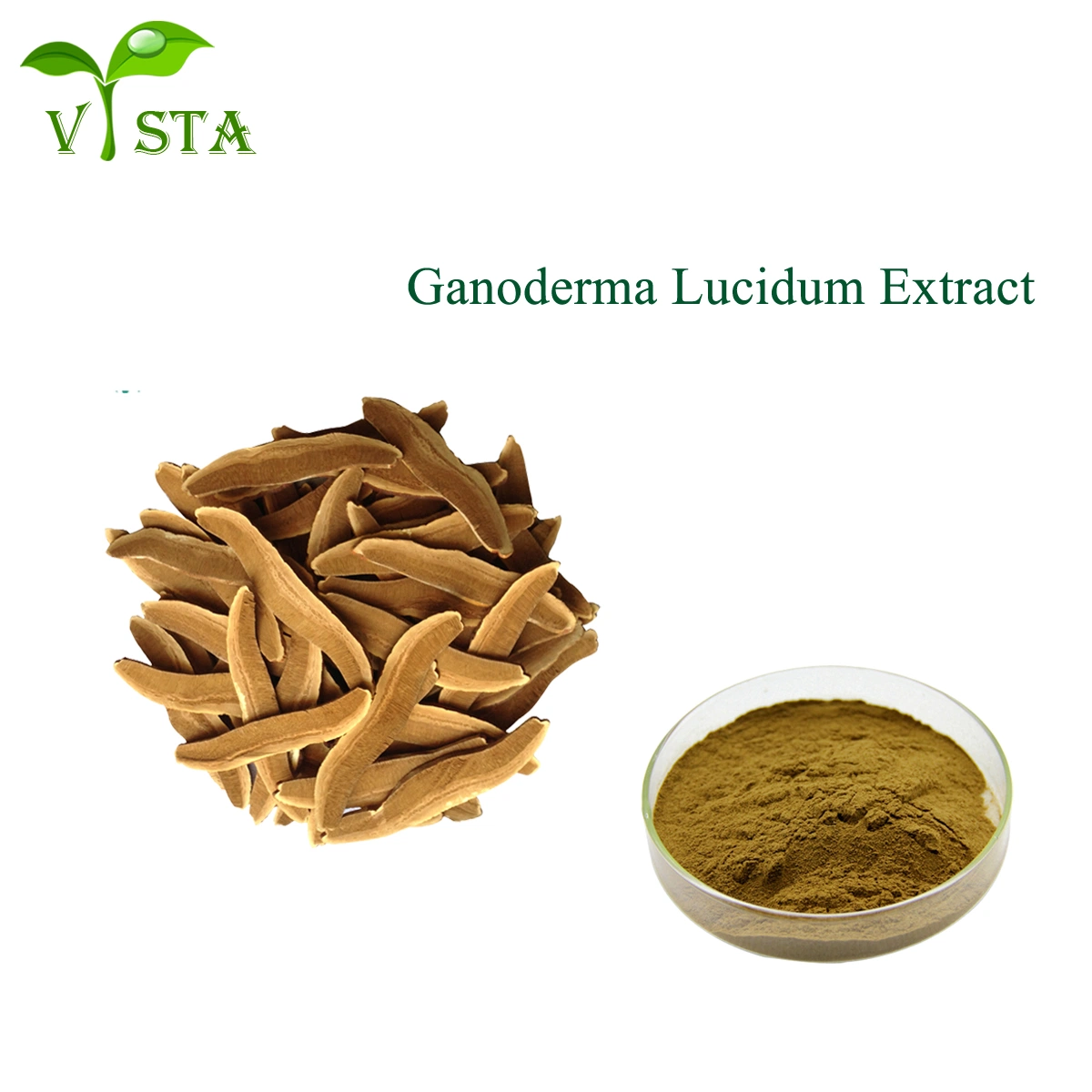 100% Natural Ganoderma Lucidum Polysaccharide Mushroom Powder Reishi Mushroom Extract