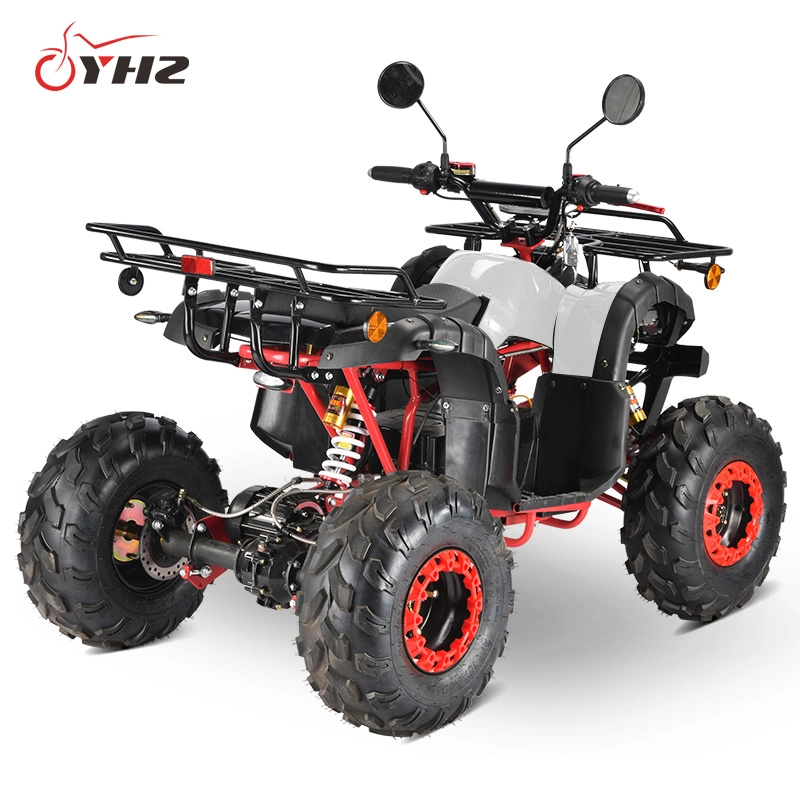 off Road Beach Vehicle 2000W Adult Electric ATV EEC