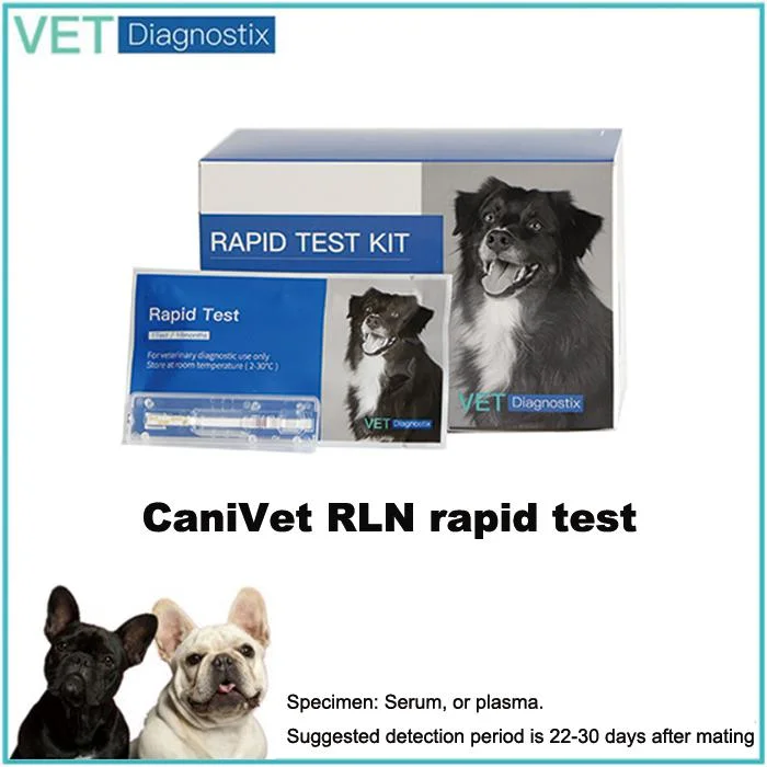 Prueba de sangre de relaxina Prueba rápida de embarazo en canina (RLN)