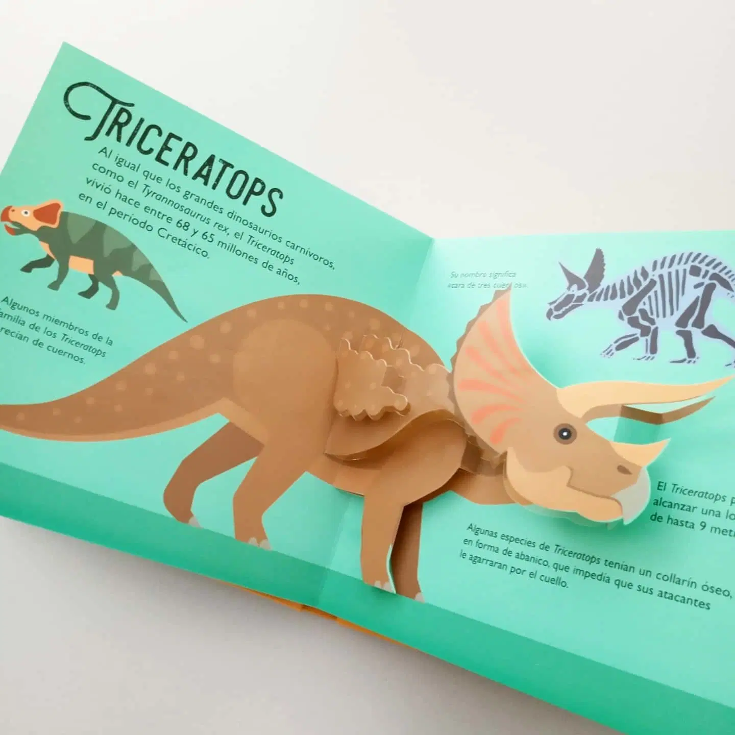 Benutzerdefinierte Farbe Umweltfreundliche Dinosaur Picures Geschichte Kinder Baby-Brett Buch Drucken