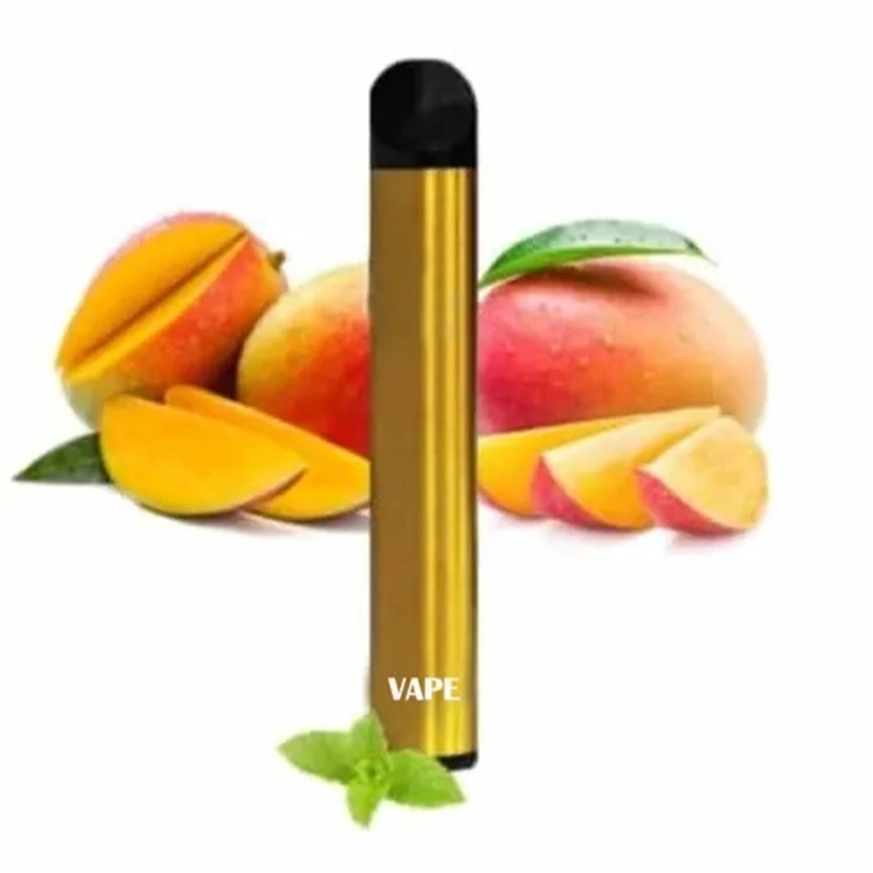 Disposable E-Cig Ecigs Portable Cig Pen 500 Puff Electronic Cigarette