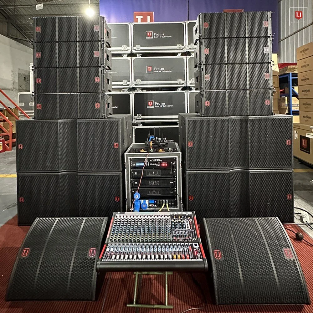 T. I PRO Audio Passive Line Array Speaker Dual 10" Sound System Equipment for Concert