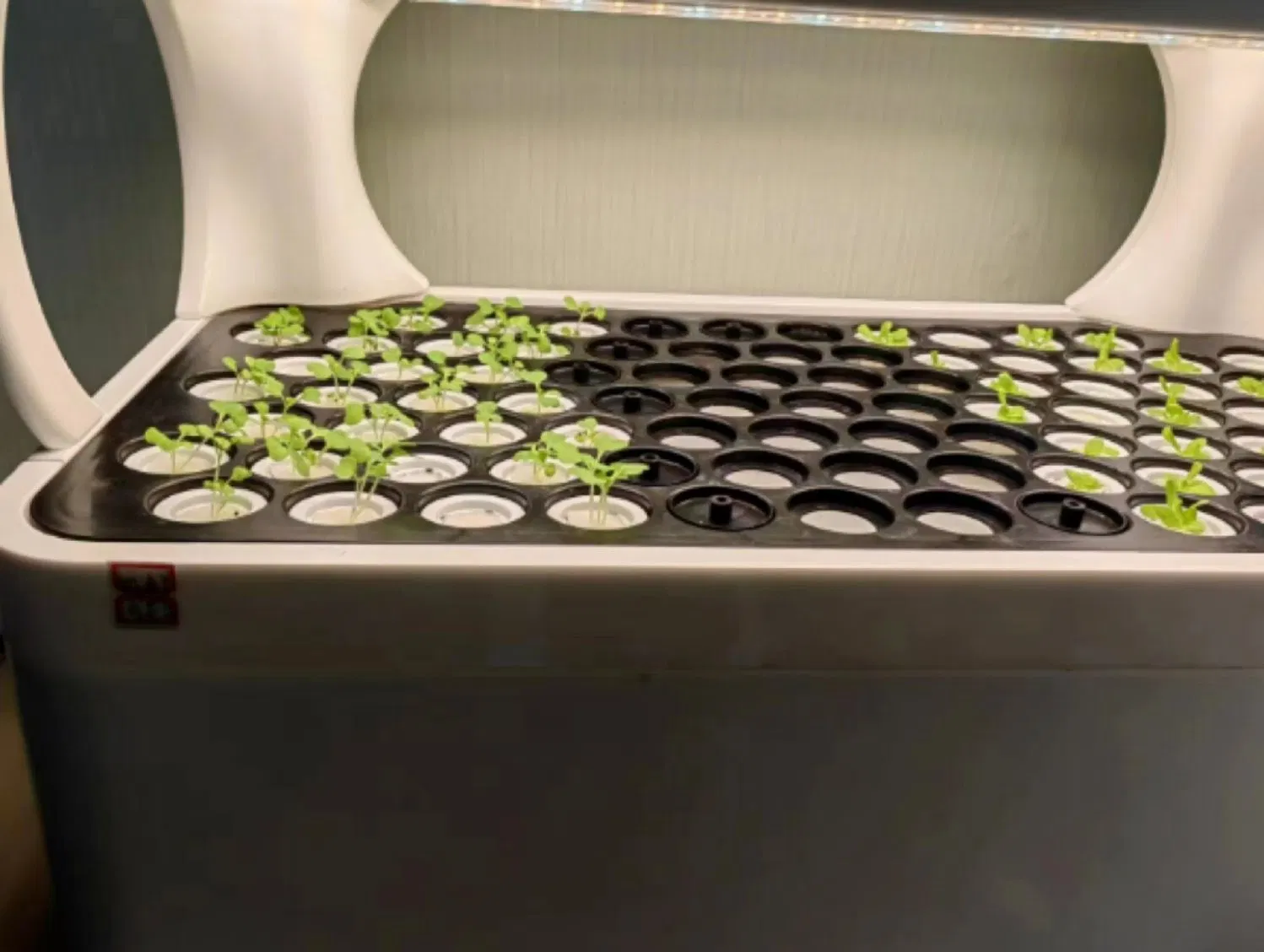 Sistema de plantação automática hidropônico para jardim inteligente com iluminação LED inteligente