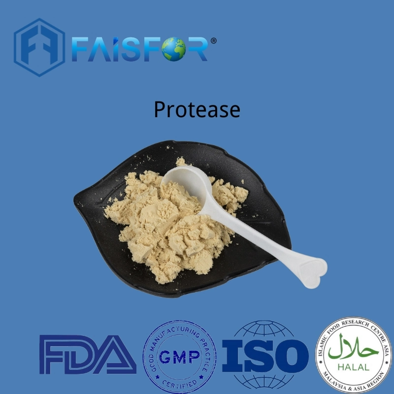 High Quality Food Grade Factory Supply Protease Powder