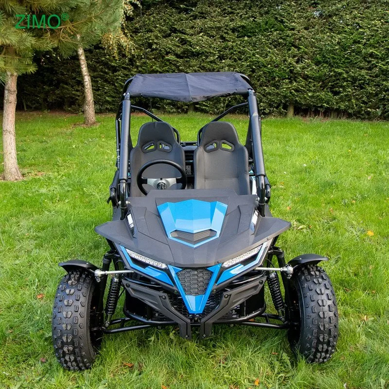 2 мест Off Road Buggy 200cc Dune Buggy Go Картс