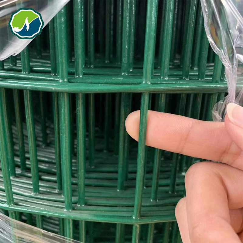 Chicken Cage PVC Coated Welded Hot Dipped Galvanized Hexagonal Wire Mesh