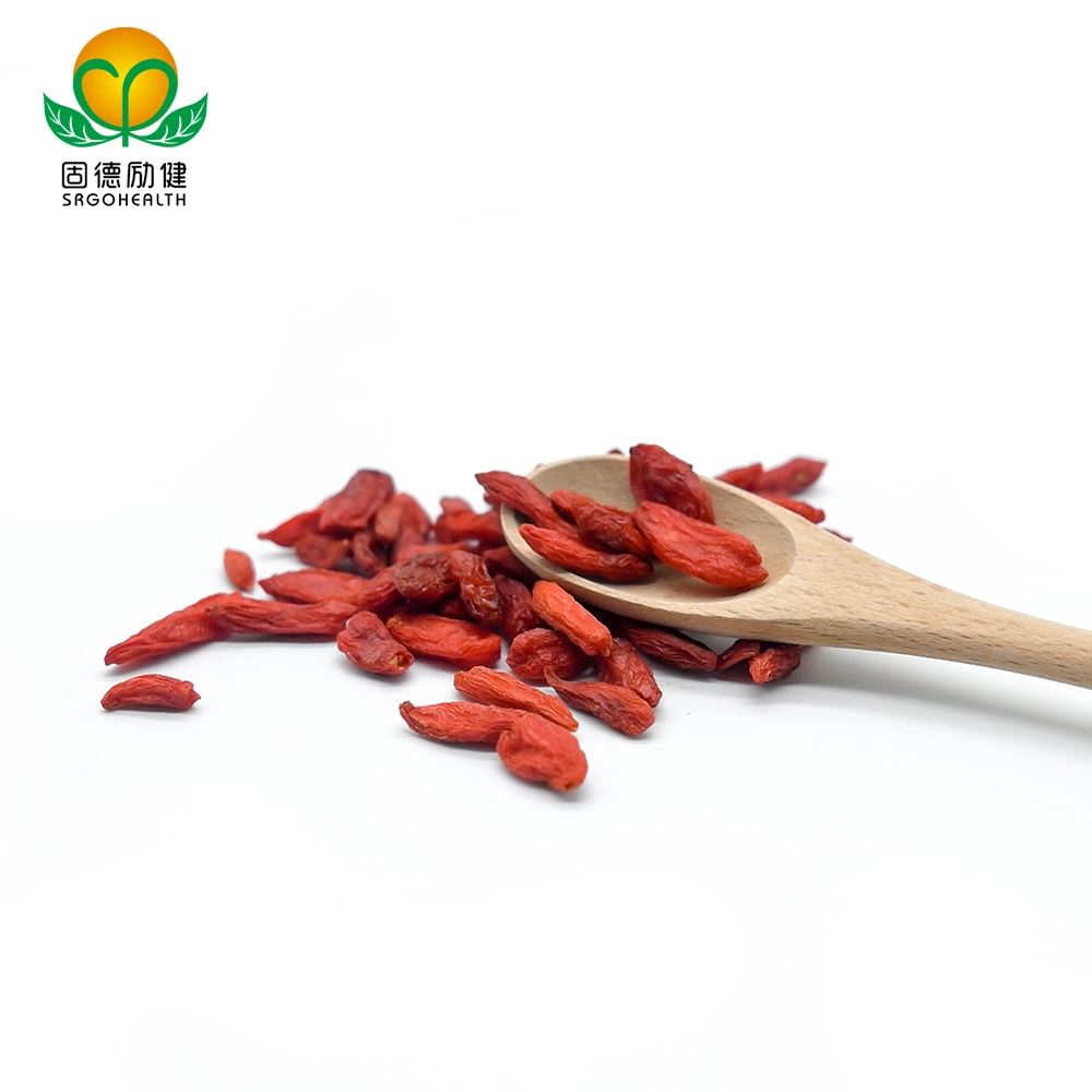 EU Hot Sale Best Quality Conventional Goji Berry