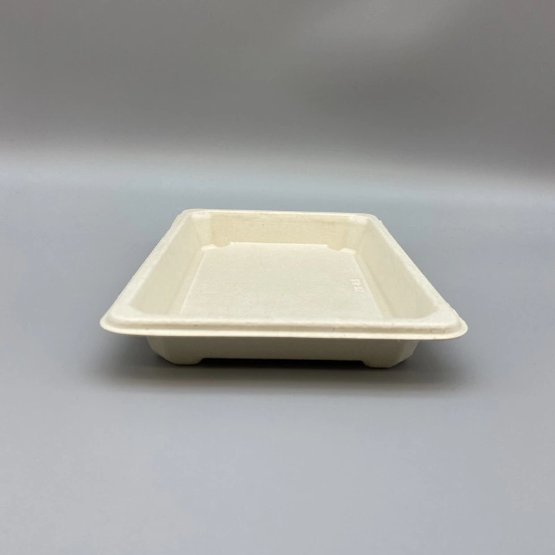 Plastic Free Ecofriendly Take out Foodbox Sugarcane Sushi Tray Biodegradable Tableware