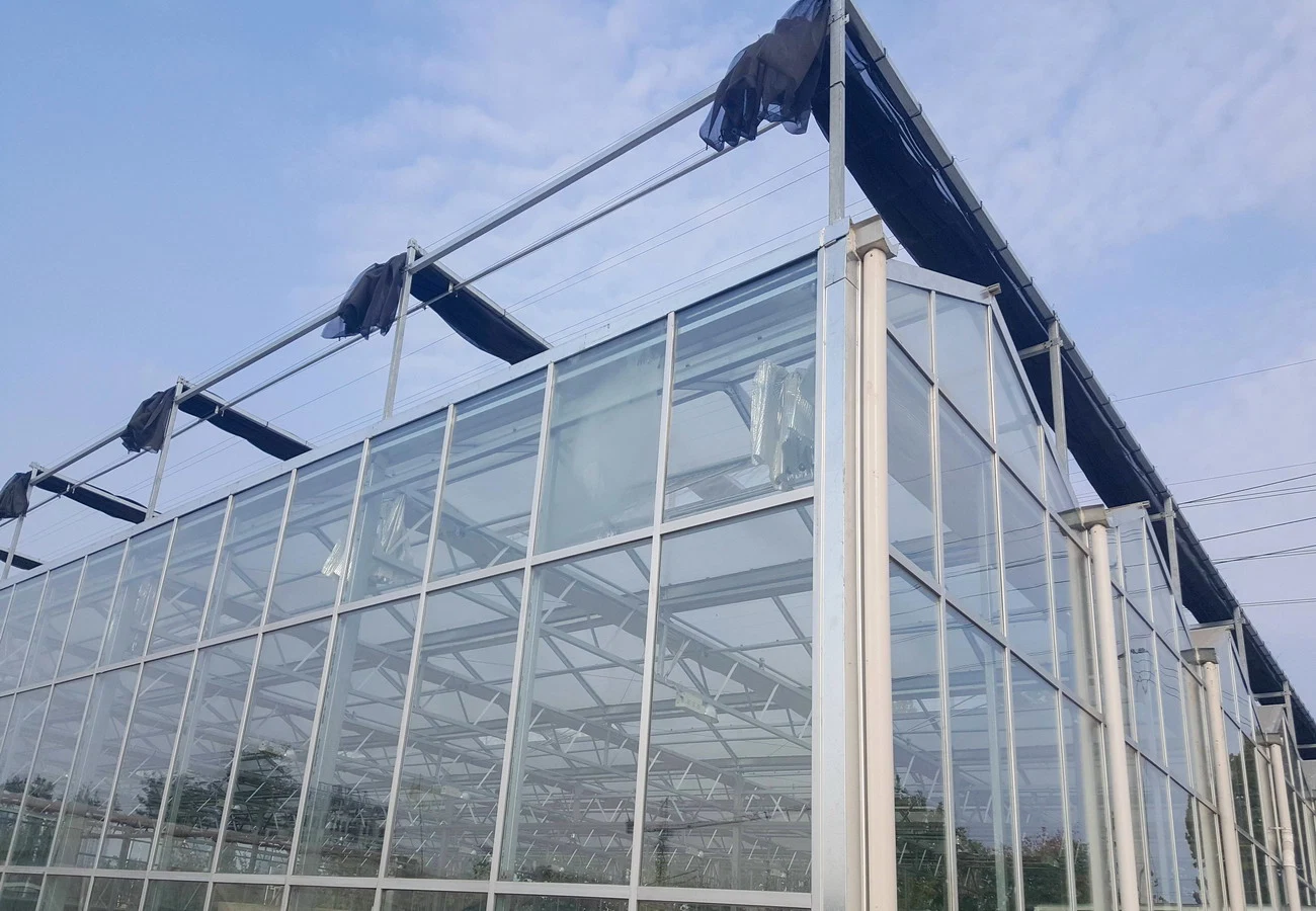 Popular Customized Multi-Span Arch Agricultural Green House with Hydroponics System for Tomato/Cucumber/Lettuce/Pepper Planting