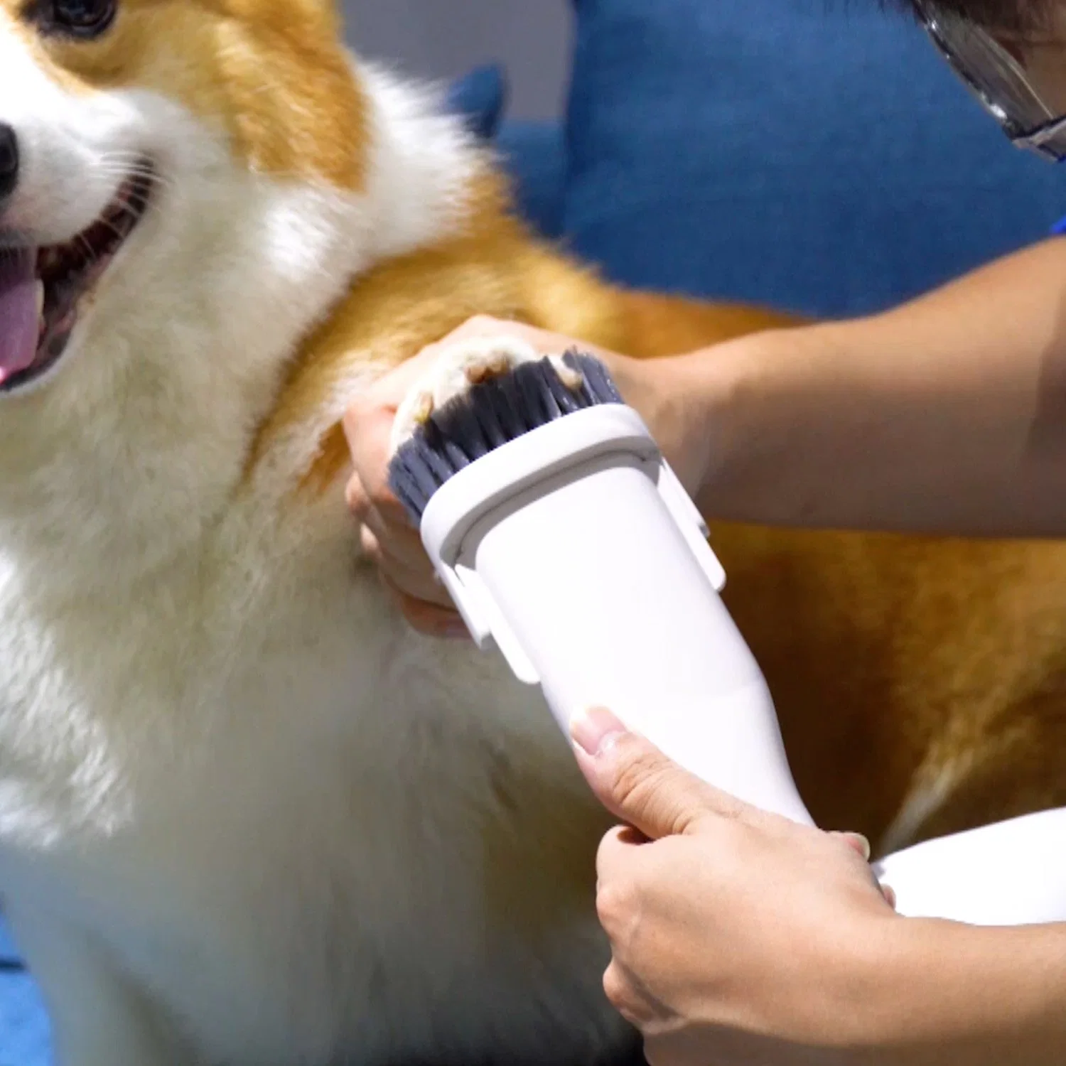 مكنسة كهربائية مع لوازم تنظيف الشعر بالحيوانات الأليفة عالية الجودة