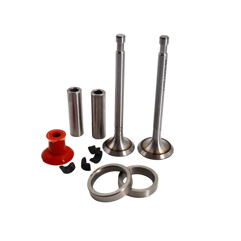 Agricultural Diesel Engine Parts Valve kits for R170A