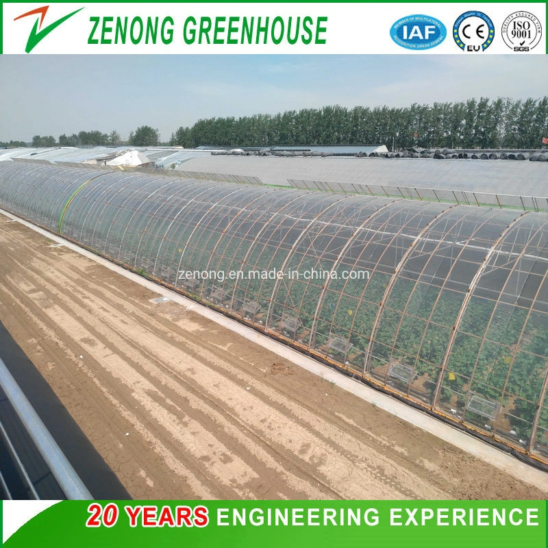 The Newest Agricultural Plastic Tunnel Film Green House for Vegetable Fruit