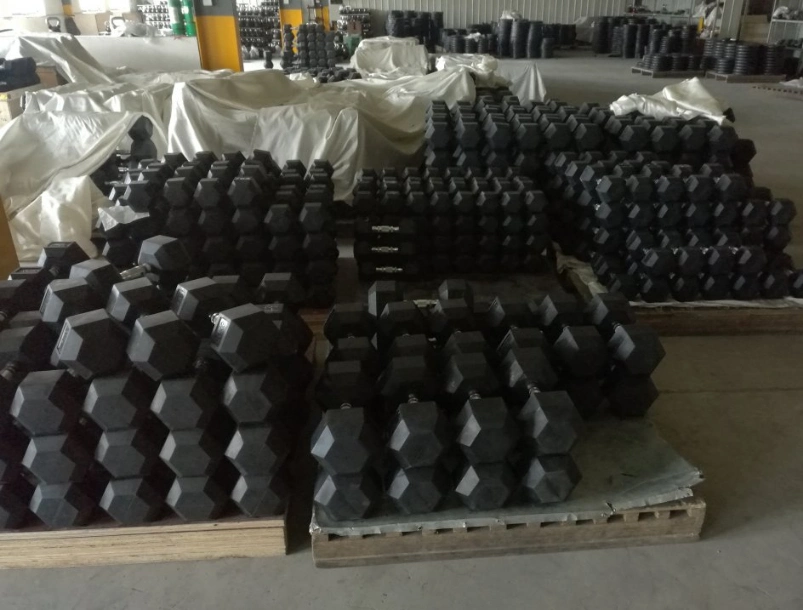 Ad-01 Body Building Rubber Coating Hexagon Dumbbells Hex Dumbells Cast Iron Dumbbells Strength Equipment