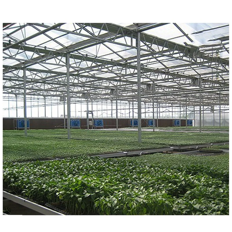 Warm Keeping Waterproof Customized Size Aluminum Agricultural Greenhouse