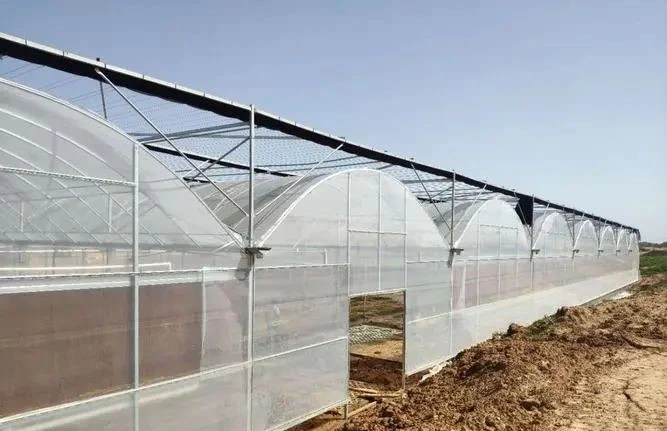 UV Af Agricultural Greenhouse Film Agricultural Plastic Poly Film