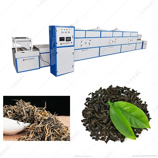 Industrial Tunnel Chamber Moringa Leaves Microwave Dryer Teas Herbs Microwave Sterilization Equipment Rose Flower Microwave Drying Oven