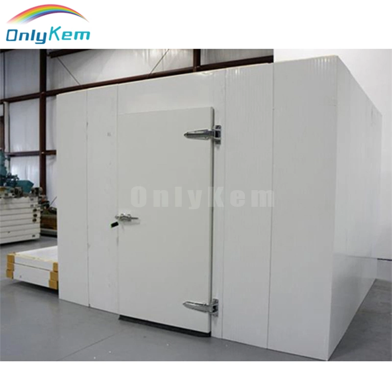 ONLYKEM Fish Cold Storage Cold Room Refrigeration Walk in Freezer