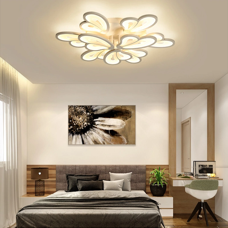 Standard Acrylic Ceiling Light Fixture for Living Room Bedroom Lighting Fixtures (WH-MA-51)