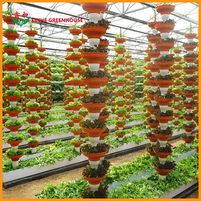 Effizientes Polycarbonat Gewächshaus und Kocopat hydroponic für Tomatenanbau