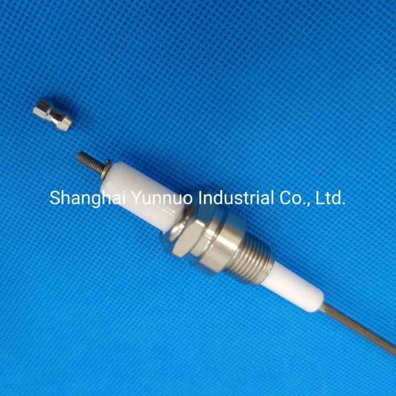 99% 95% Alumina Ceramic Ignition Pin for Gas Burner